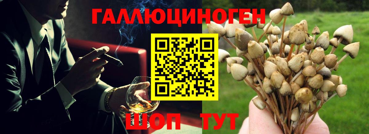 Псилоцибиновые грибы ЛСД Ногинск