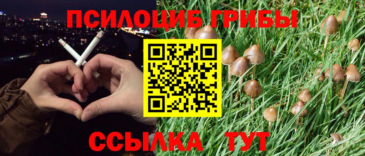 Псилоцибиновые грибы GOLDEN TEACHER  Вход с VPN  Ногинск  Псилоцибиновые грибы Psilocybe 